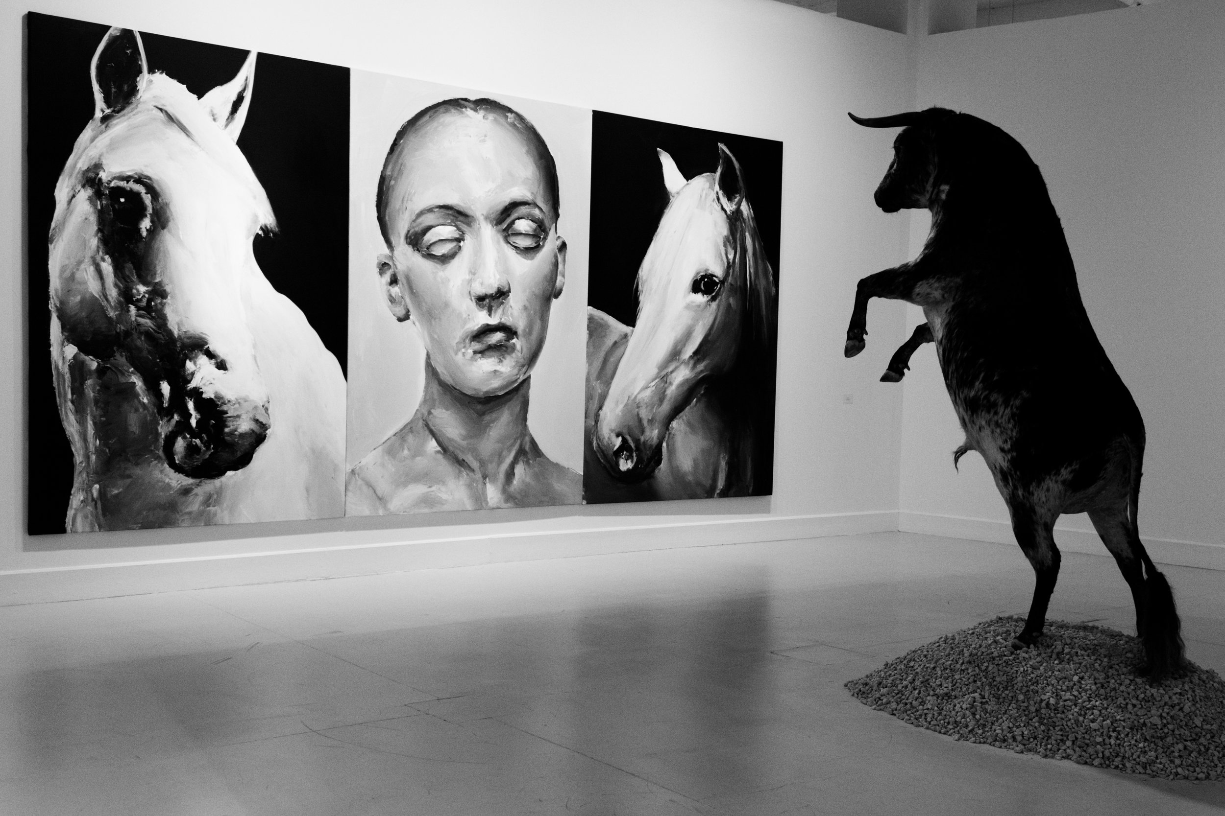 les-toros-jacques-brel